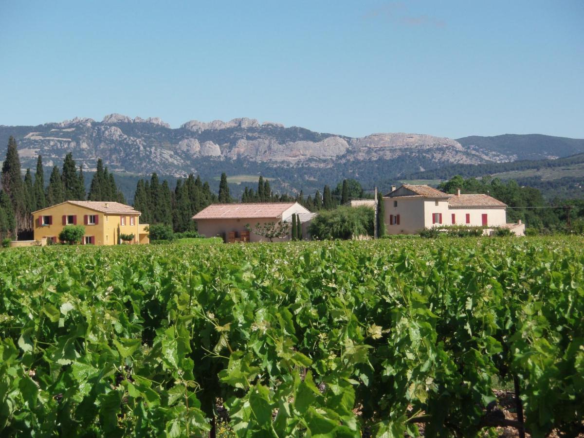 Gite Les Vignes Carpentras Exteriér fotografie